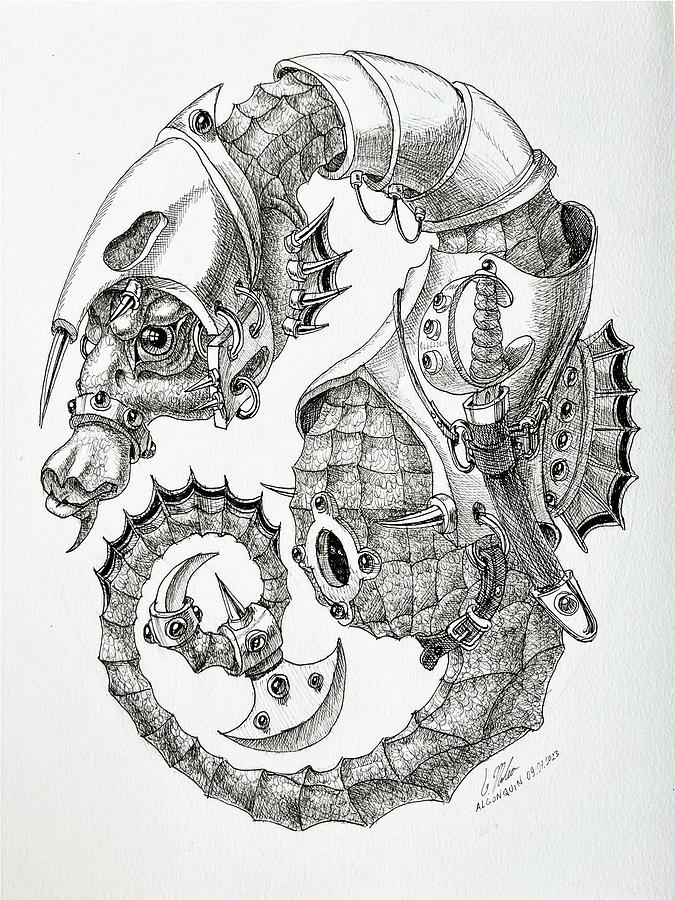 Rumble Sea Horse Drawing by Victor Molev