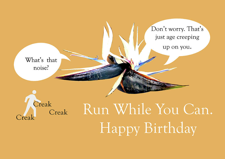 Run While You Can - Happy Birthday Mixed Media by Sharon Williams Eng