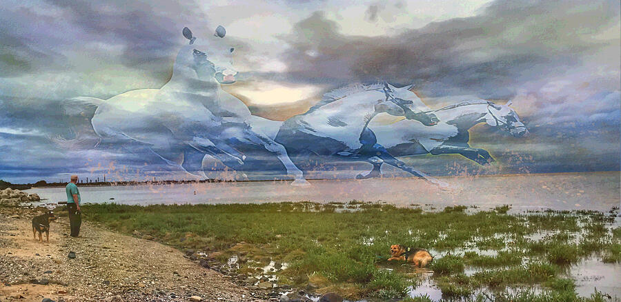Runaway Ghost Herd  Digital Art by Shelli Fitzpatrick