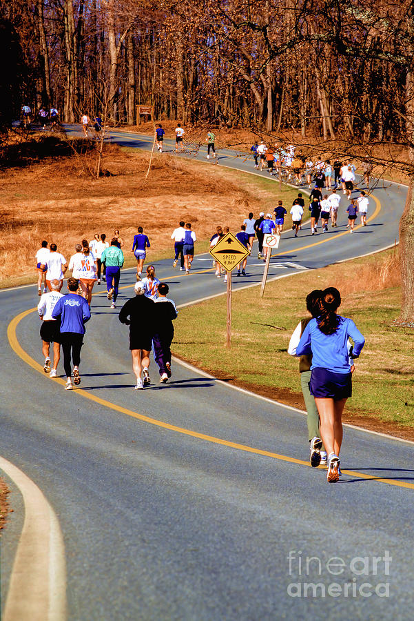 Runners compete in a club road race at Seneca Creek State Park,  Photograph by William Kuta