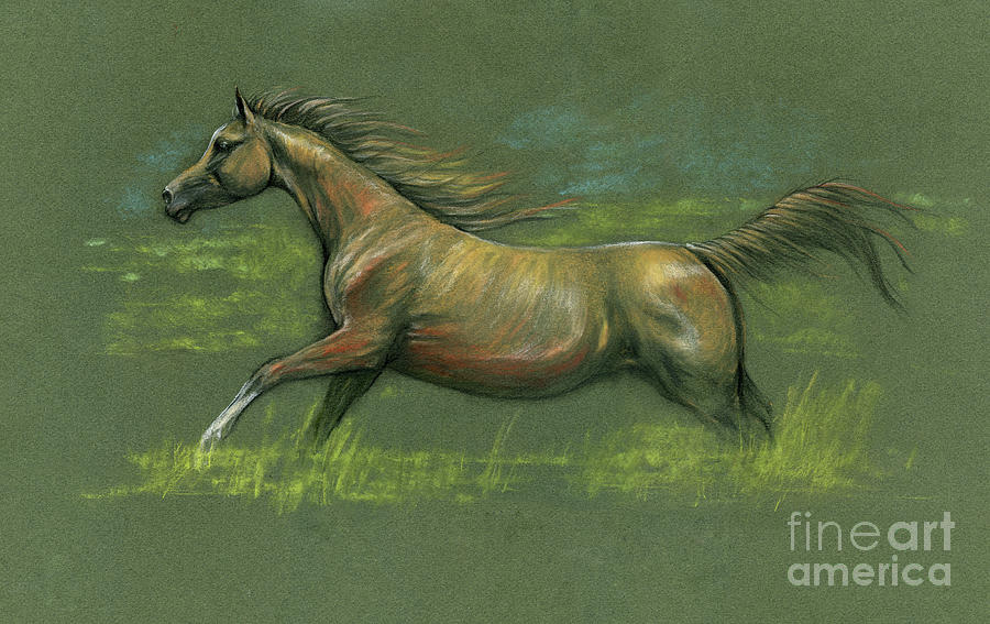 Running arabian horse 2020 11 05 Drawing by Ang El