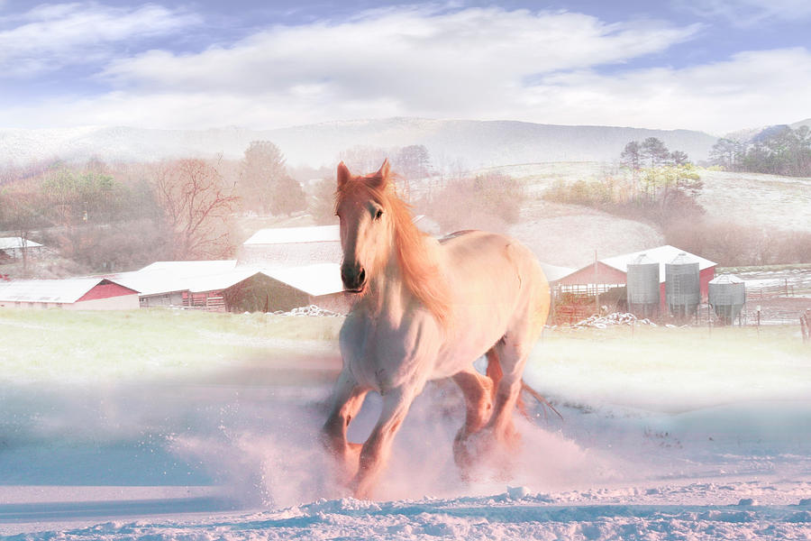 Running Free on a Cold Christmas Morning Digital Art by Debra and Dave Vanderlaan
