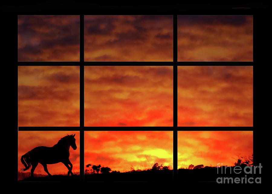 Running Horse Fiery Sunset in Window Photograph by Stephanie Laird