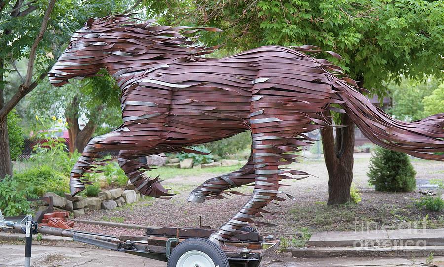 Running Horse Sculpture by Hans Droog