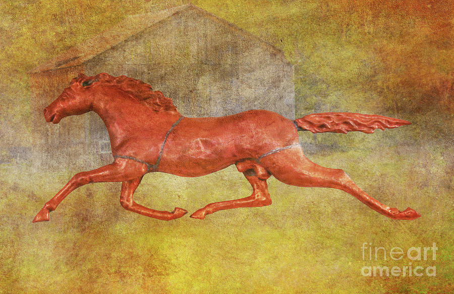 Running Horse Weather Vane Digital Art by Randy Steele