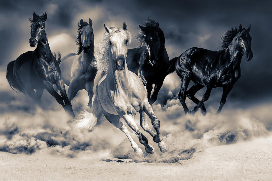 Running Horses Digital Art by Steve Ladner