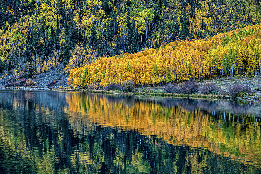 Running to the River Photograph by Maryanne Keeling - Fine Art America