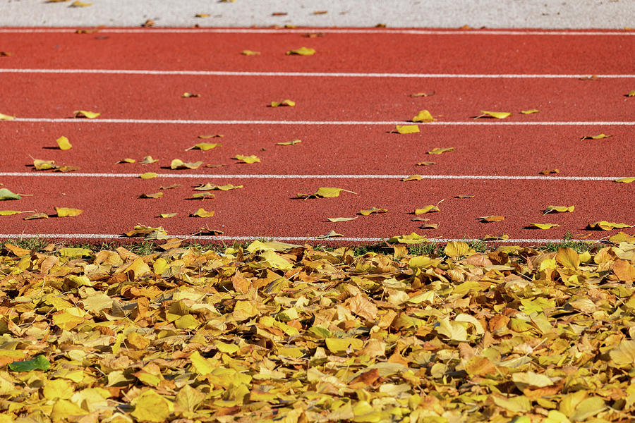 Running Track And Field In Autumn Photograph by Artur Bogacki