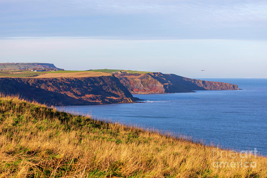 Runswick Bay from Kettleness in the North York Moors National Park Photograph by Louise Heusinkveld
