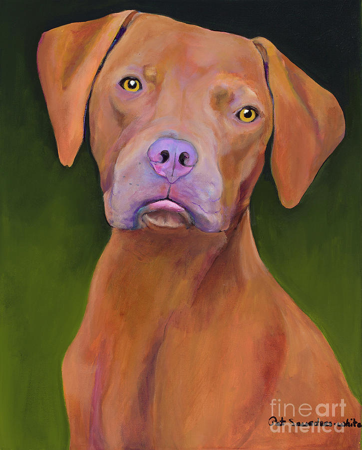 Animal Painting - Rupert by Pat Saunders-White
