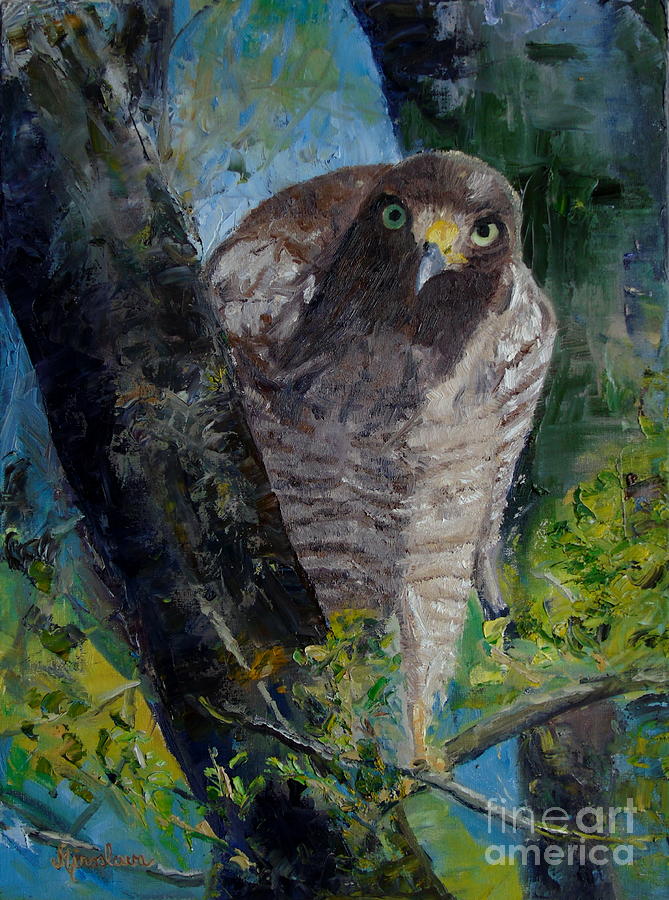 Rupornis magnirostris- Roadside hawk #1 Painting by Silvana Miroslava Albano