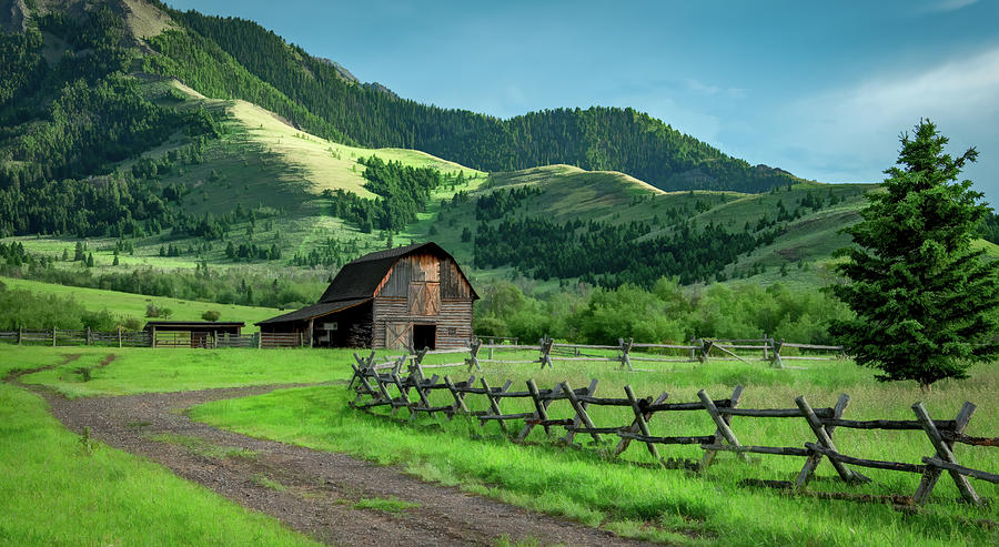 Rural and Rustic in Montana Photograph by Marcy Wielfaert
