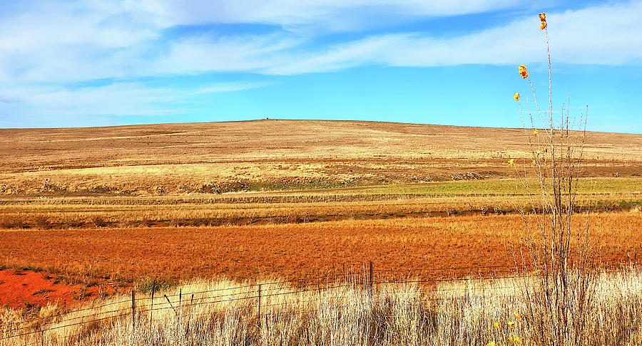 Rural Australia Landscape Photograph by Lexa Harpell