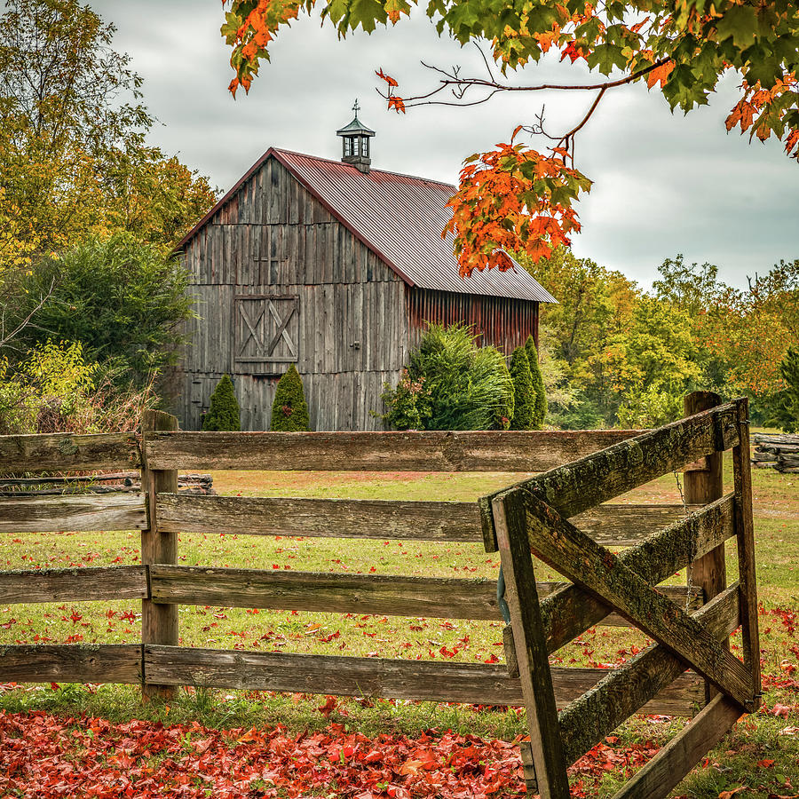 Rural Autumn Dreams At Bell Gable Barn Photograph by Gregory Ballos ...