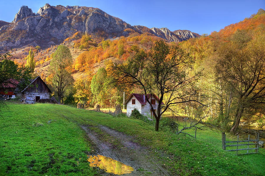 Fall Photograph - Rural autumn landscape by Razvan Radu