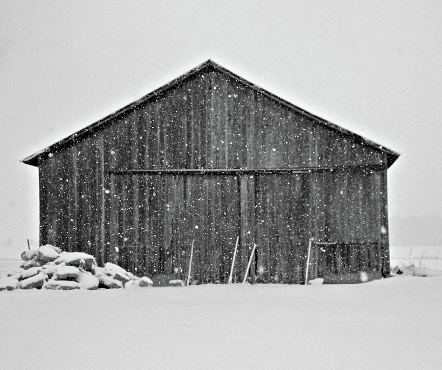 Rural Barn In Snow Photograph by Dan Sproul