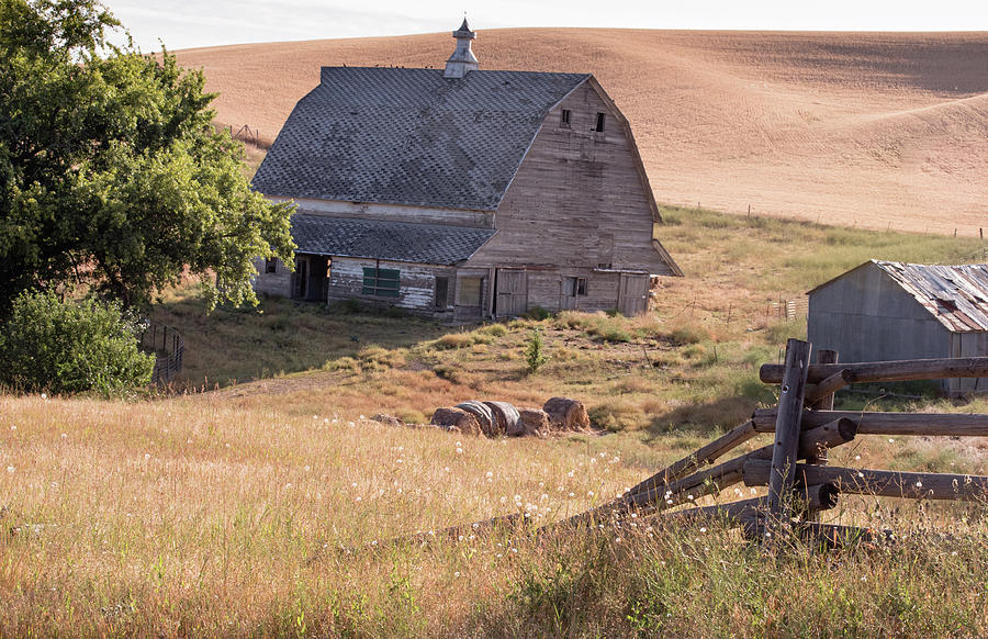 Barn Photograph - Rural Barn in the Wheat Fields by Connie Carr