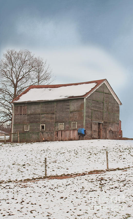 Rural Barn Photograph