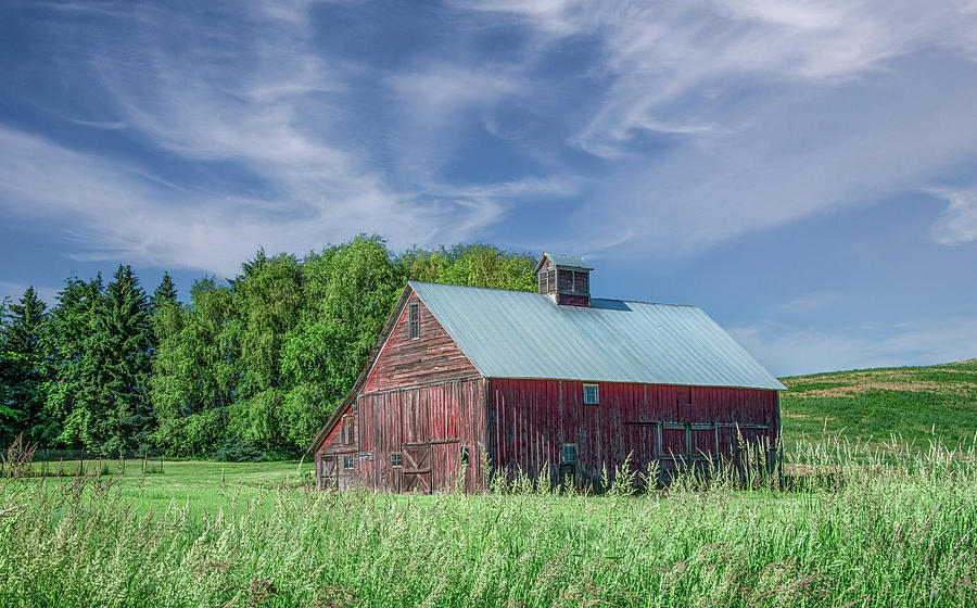 Rural Beauty of a Simple Barn Photograph by Marcy Wielfaert