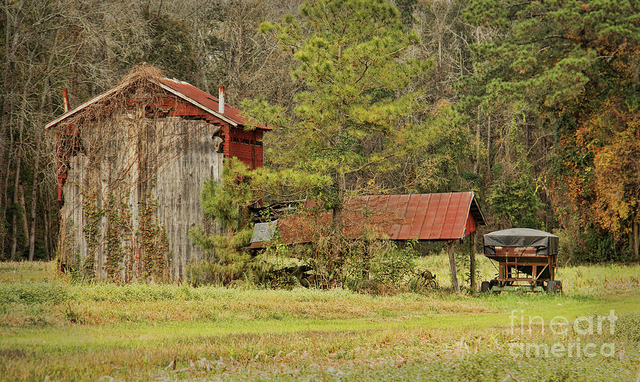 Rural Decay Photograph by Michelle Tinger
