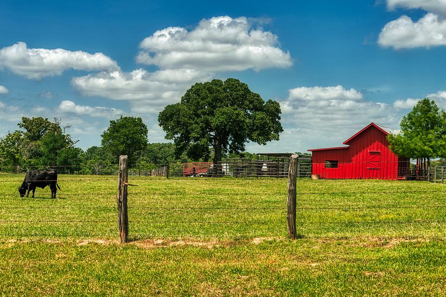 Rural East Texas Photograph by Mountain Dreams | Fine Art America