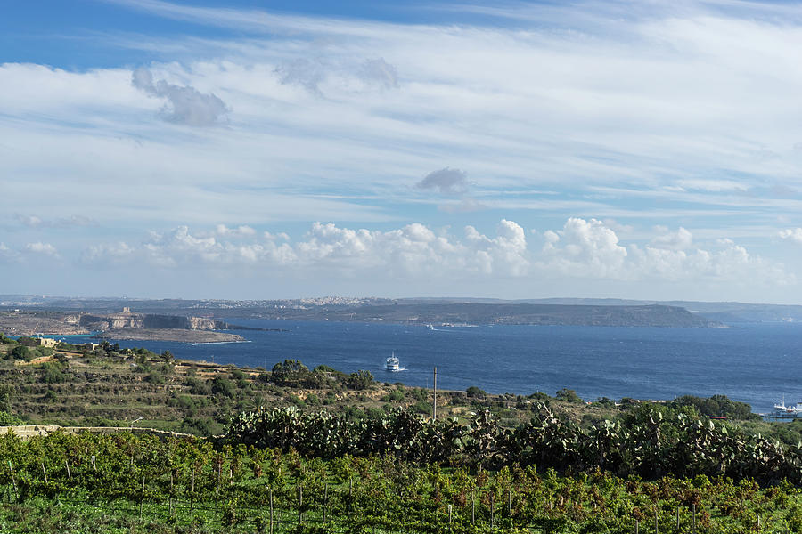 Rural Gozo Island - Maltese Archipelago Green Countryside Photograph by Georgia Mizuleva