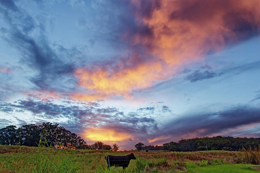 Rural Hawaiian Sunset Photograph by Heidi Fickinger