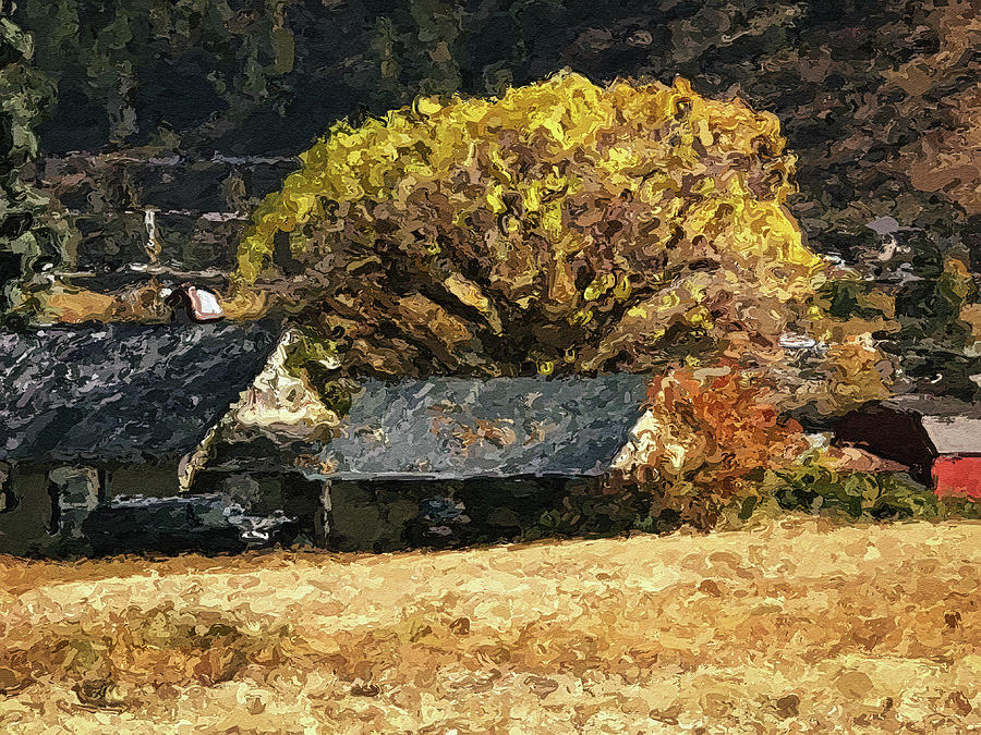 Rural houses, Washington State Photograph by Tatiana Travelways