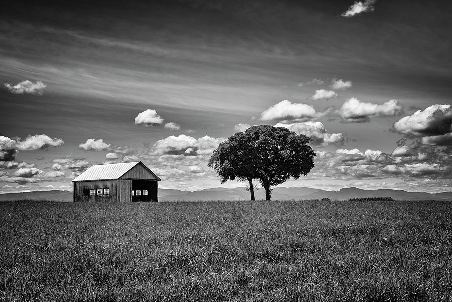 Rural Images Photograph by Steven Clark