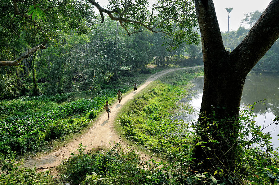 Rural Landscape Of West Bengal Photograph by Somnath Chatterjee - Pixels