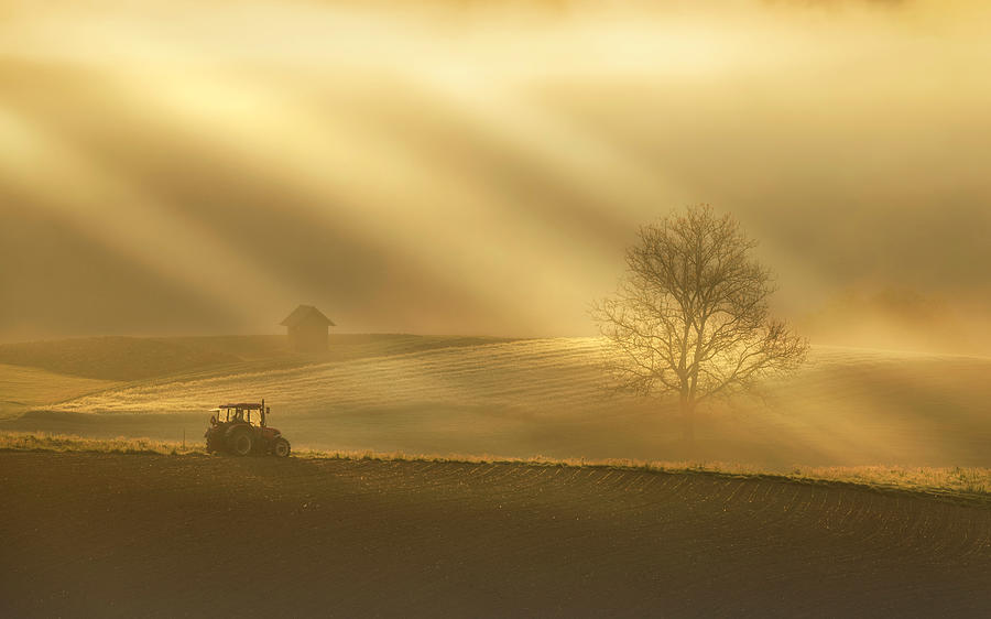 Rural landscape Photograph by Piotr Skrzypiec