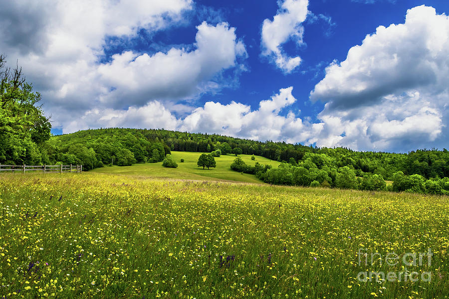 Rural Landscape With Forest And Flower Meadow At Cloudy Weather In Austria Photograph by Andreas Berthold