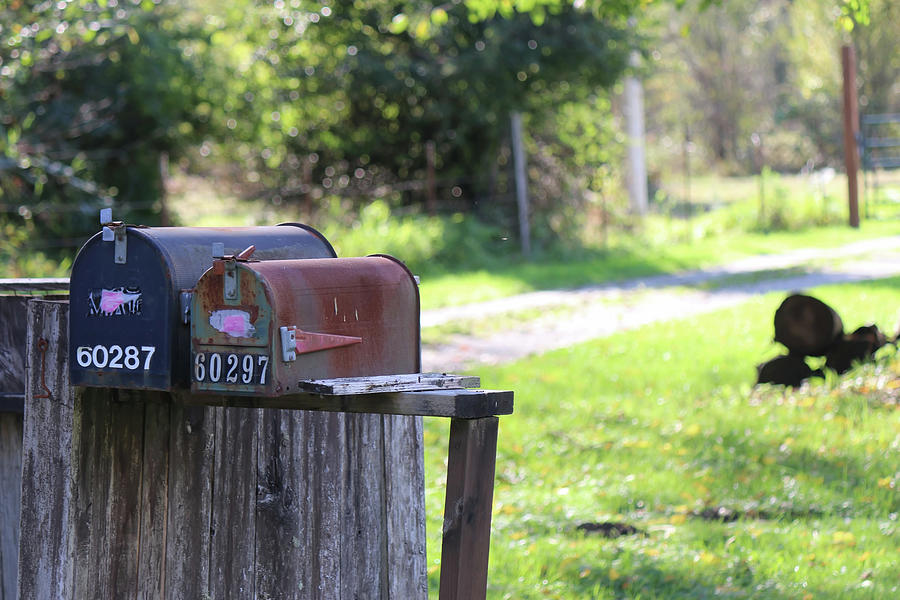 Rural Mailboxes WA1 Photograph by Cathy Anderson