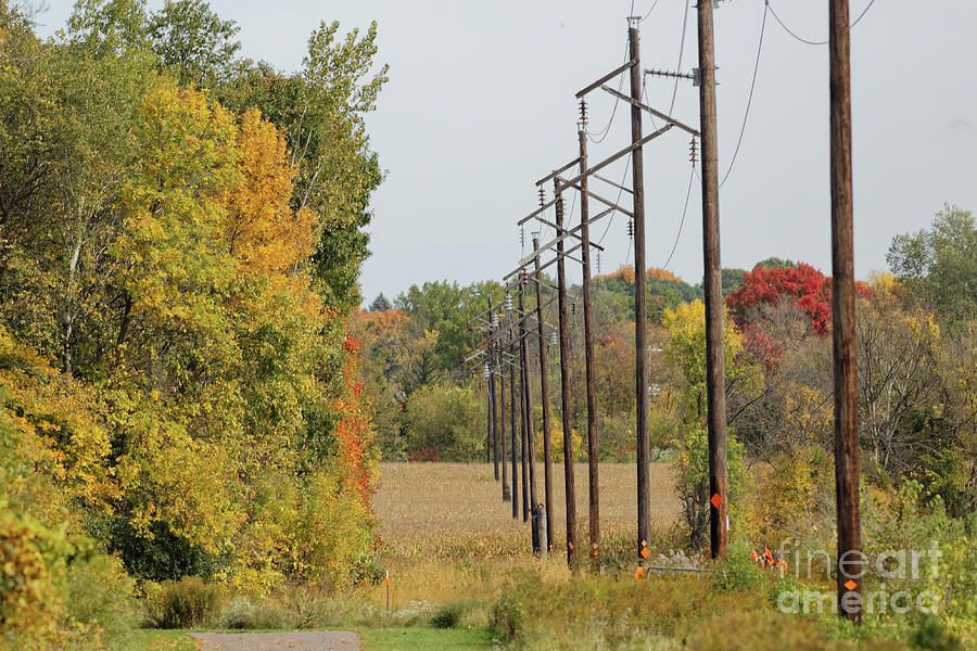 Rural Minnesota in Fall Photograph by Natural Focal Point Photography