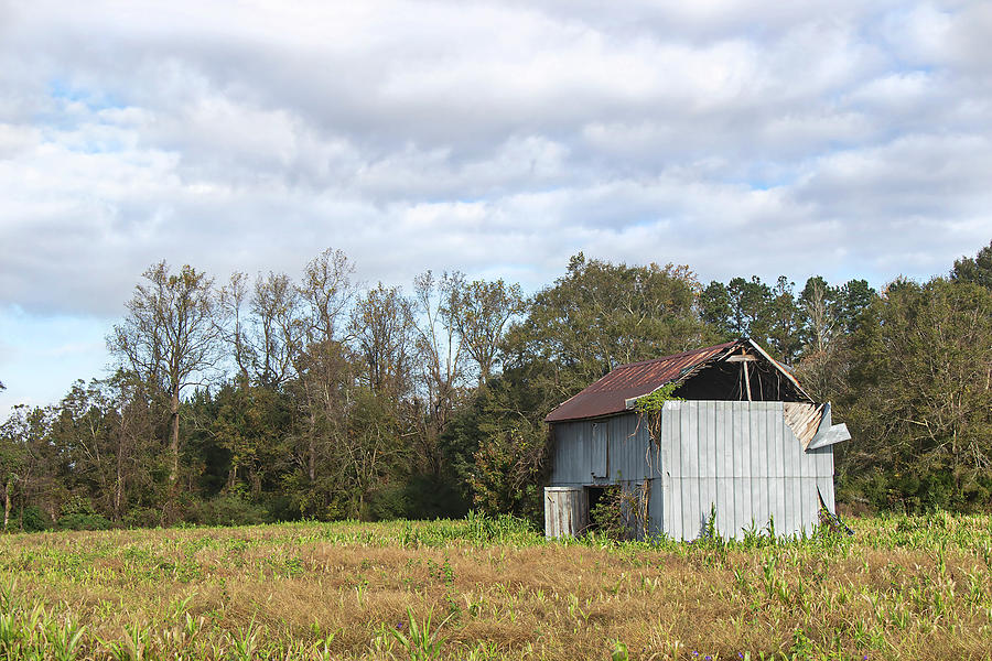 Rural North Carolina Forgotten Barn Photograph by Bob Decker