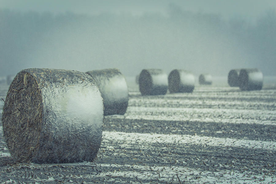 Rural Ohio Hay Bales In Winter Photograph by Dan Sproul