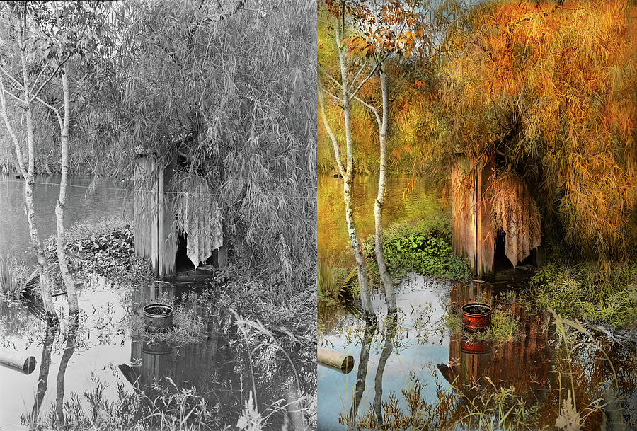 Fall Photograph - Rural - Outhouse - Water hazard 1938 - Side by Side by Mike Savad
