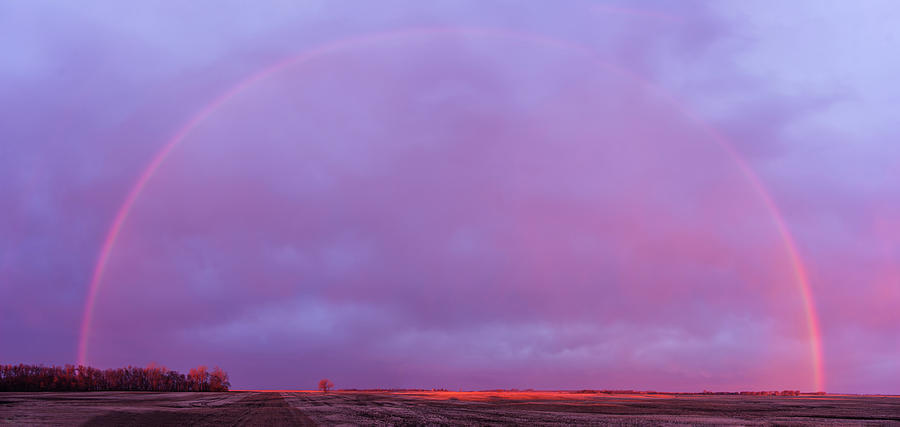 Rural Rainbow at Sunrise Photograph by Peter Herman