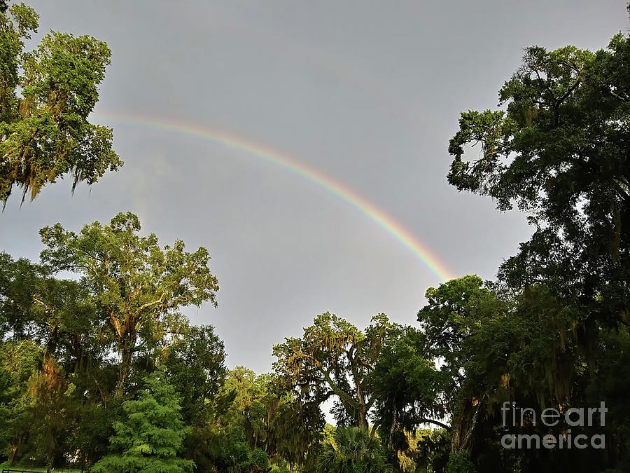 Rural Rainbow Photograph by D Hackett