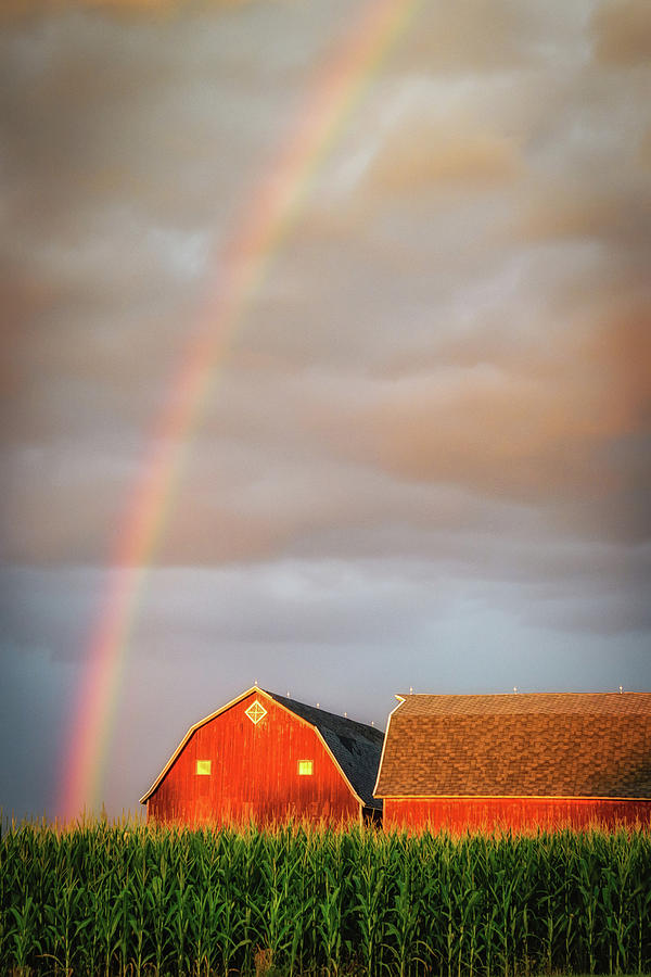 Rural Rainbow Photograph by Joann Long