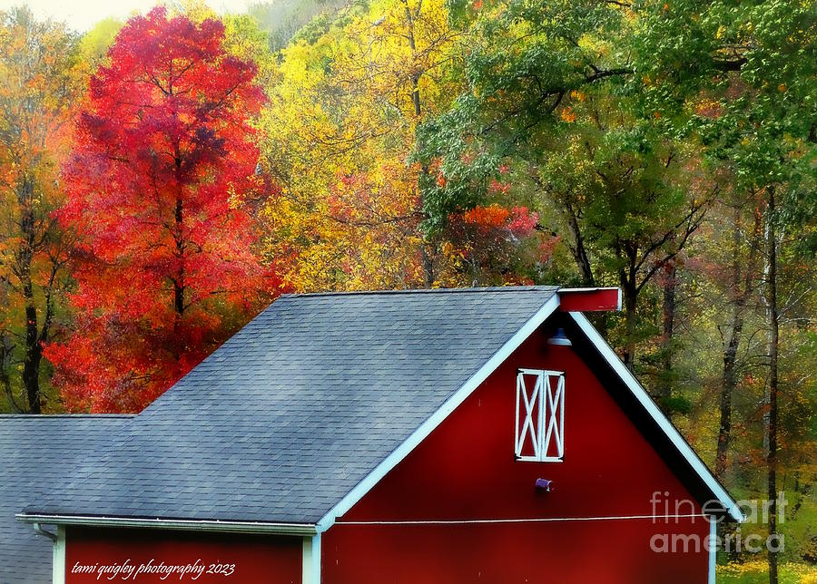Rural Red October Photograph by Tami Quigley