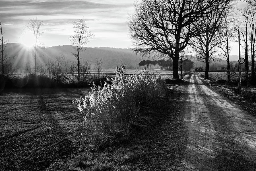 Rural Road To Senfores, Catalonia - B/w Photograph