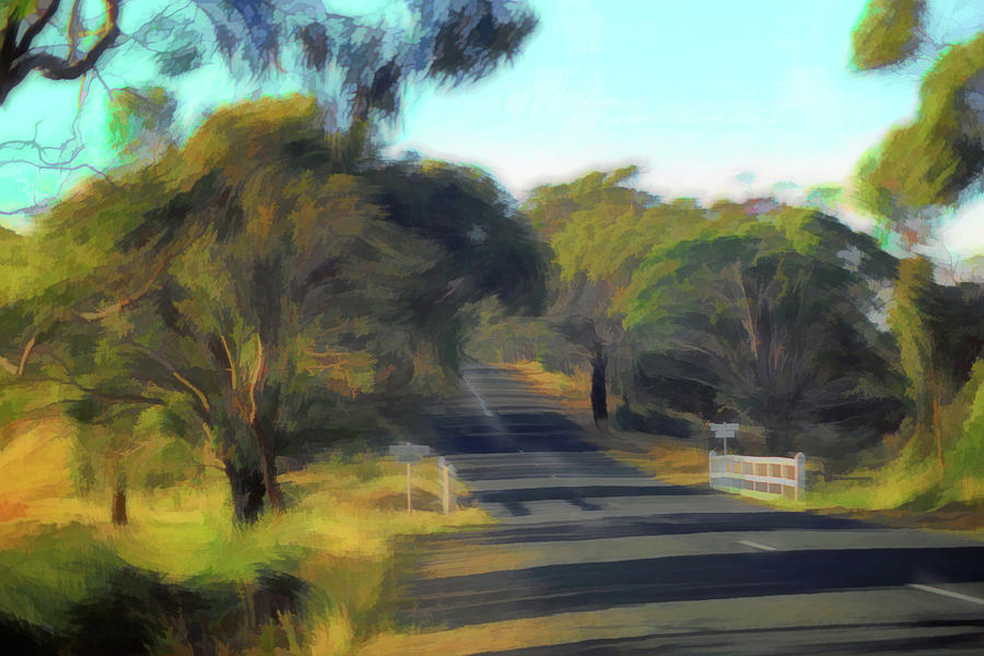 Rural Road, Victoria, Australia Photograph by Jerry Griffin