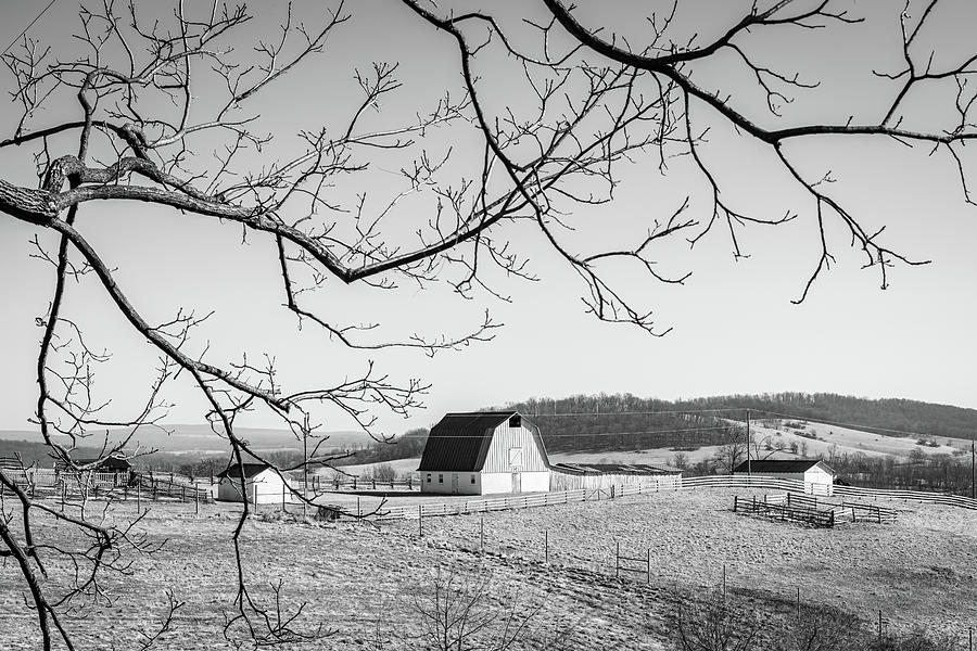 Rural Scene at Sky Meadows Photograph by Liz Albro