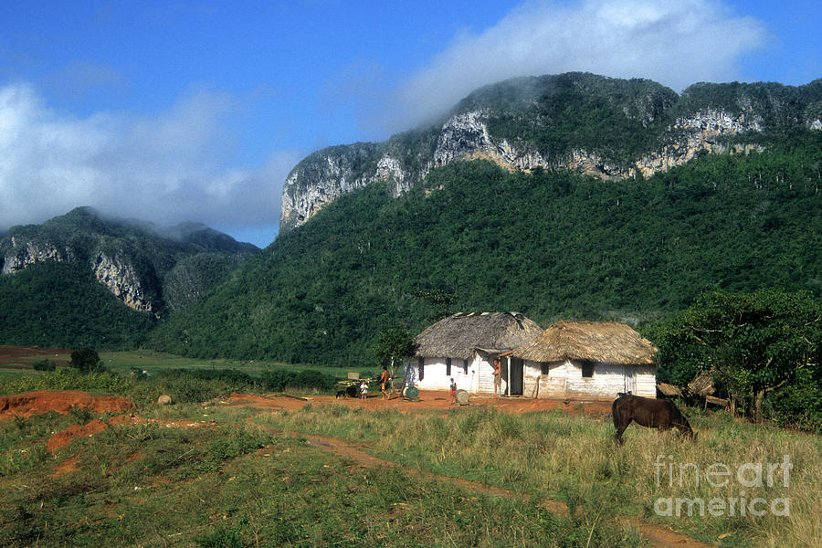 Rural Scene Vinales Cuba Photograph by James Brunker