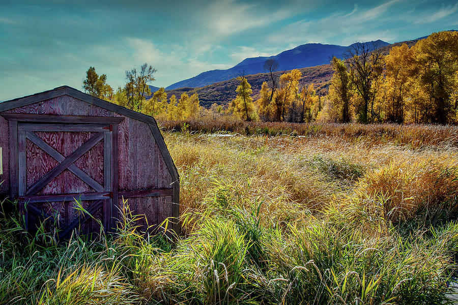 Rural shed Photograph by Bradley Morris Rural shed Photograph by Bradley Morris