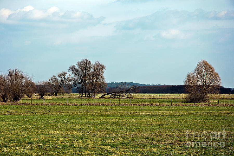 Rural Sound of Spring Photograph by Silva Wischeropp