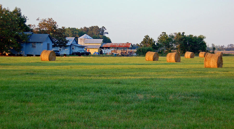Rural South Carolina Scene Photograph by Suzanne Gaff