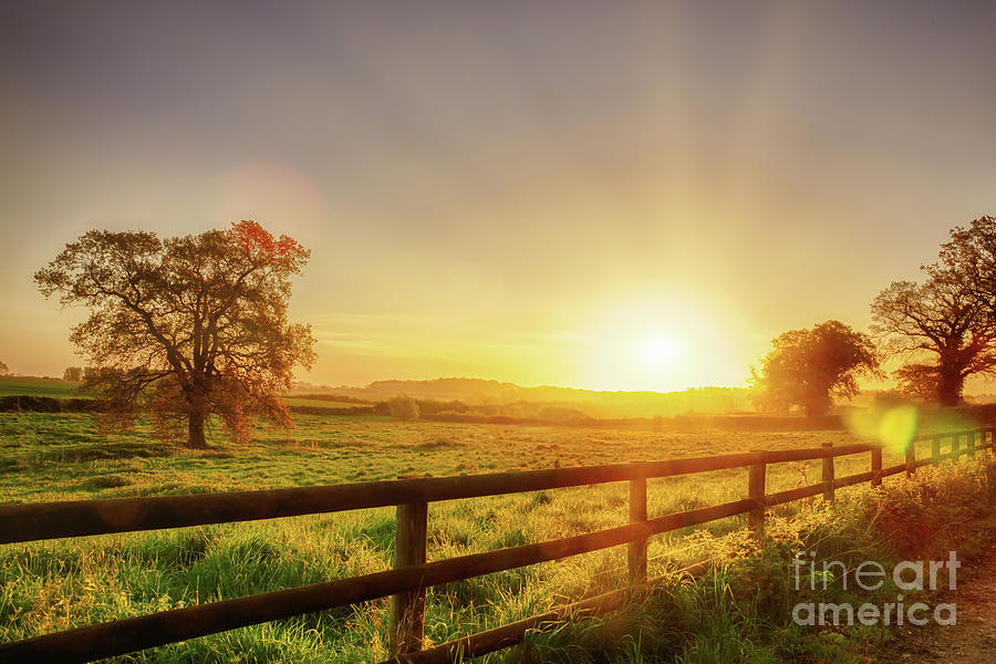 Rural sunrise over fenced field Photograph by Simon Bratt