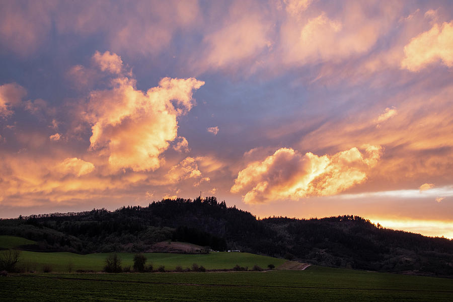 Rural Sunset Photograph by Catherine Avilez